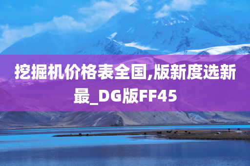 挖掘机价格表全国,版新度选新最_DG版FF45