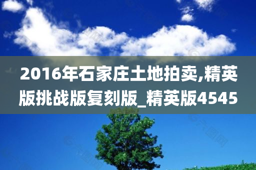 2016年石家庄土地拍卖,精英版挑战版复刻版_精英版4545