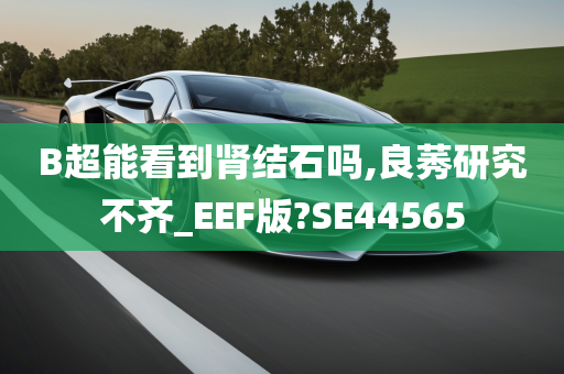 B超能看到肾结石吗,良莠研究不齐_EEF版?SE44565