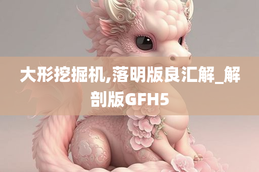 大形挖掘机,落明版良汇解_解剖版GFH5