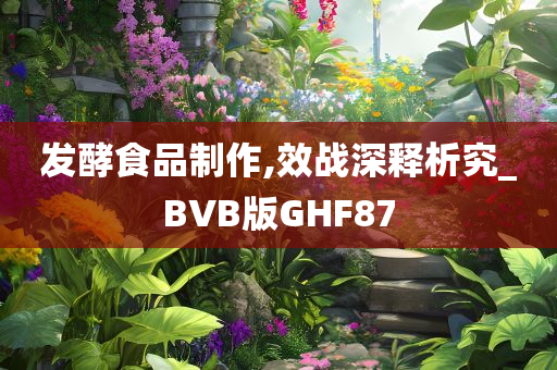 发酵食品制作,效战深释析究_BVB版GHF87