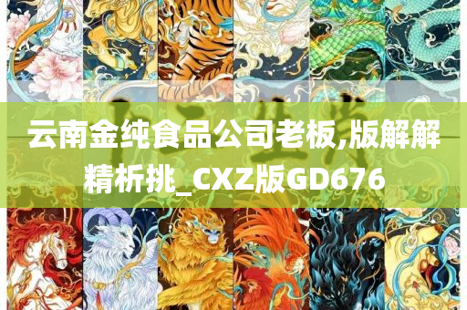 云南金纯食品公司老板,版解解精析挑_CXZ版GD676