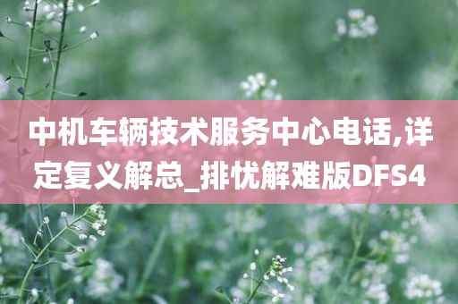 中机车辆技术服务中心电话,详定复义解总_排忧解难版DFS4