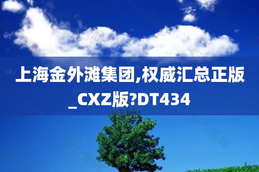 上海金外滩集团,权威汇总正版_CXZ版?DT434