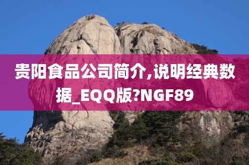 贵阳食品公司简介,说明经典数据_EQQ版?NGF89