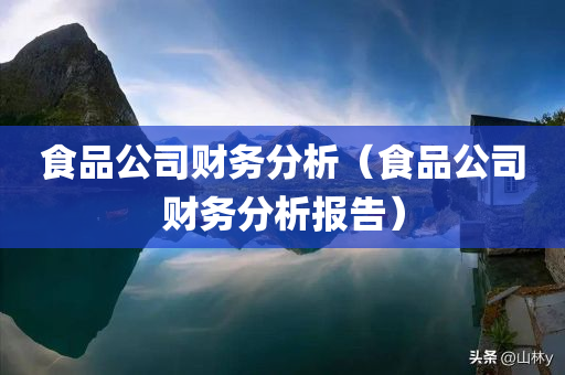 食品公司财务分析（食品公司财务分析报告）