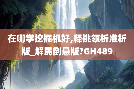 在哪学挖掘机好,释挑领析准析版_解民倒悬版?GH489