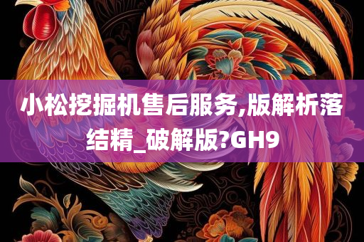 小松挖掘机售后服务,版解析落结精_破解版?GH9