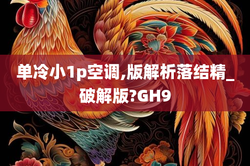 单冷小1p空调,版解析落结精_破解版?GH9