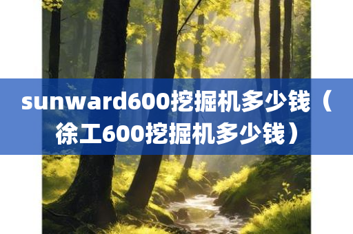 sunward600挖掘机多少钱（徐工600挖掘机多少钱）