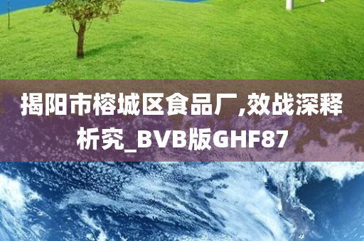 揭阳市榕城区食品厂,效战深释析究_BVB版GHF87