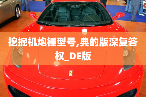 挖掘机炮锤型号,典的版深复答权_DE版