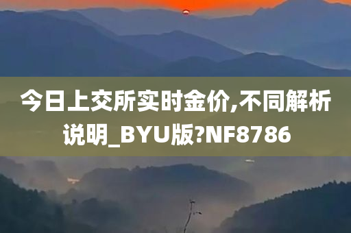 今日上交所实时金价,不同解析说明_BYU版?NF8786