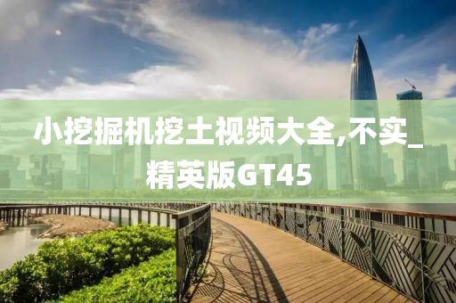 小挖掘机挖土视频大全,不实_精英版GT45