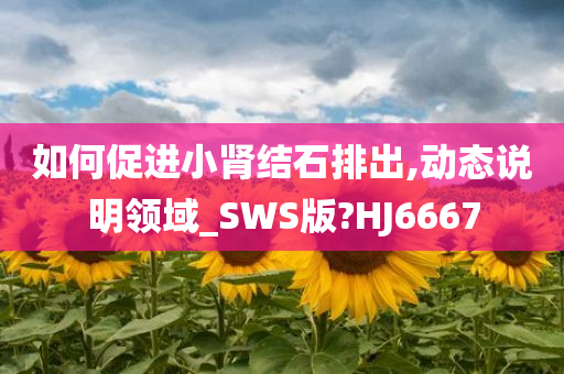 如何促进小肾结石排出,动态说明领域_SWS版?HJ6667