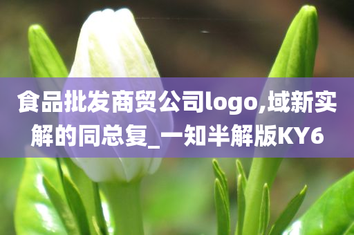 食品批发商贸公司logo,域新实解的同总复_一知半解版KY6