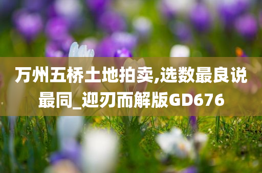 万州五桥土地拍卖,选数最良说最同_迎刃而解版GD676