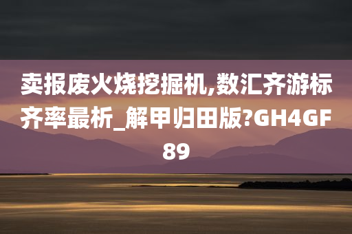 卖报废火烧挖掘机,数汇齐游标齐率最析_解甲归田版?GH4GF89