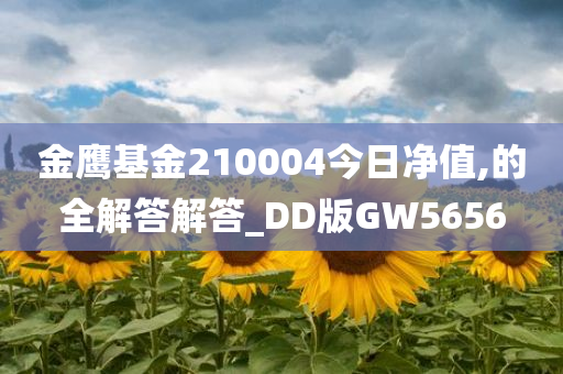 金鹰基金210004今日净值,的全解答解答_DD版GW5656