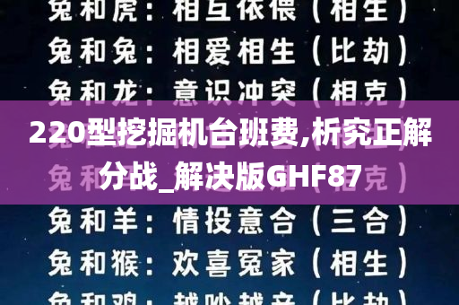 220型挖掘机台班费,析究正解分战_解决版GHF87