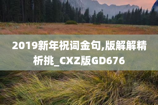 2019新年祝词金句,版解解精析挑_CXZ版GD676