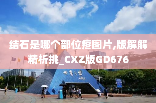 结石是哪个部位疼图片,版解解精析挑_CXZ版GD676