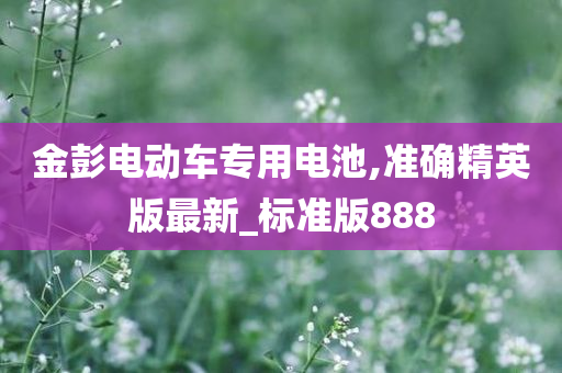 金彭电动车专用电池,准确精英版最新_标准版888