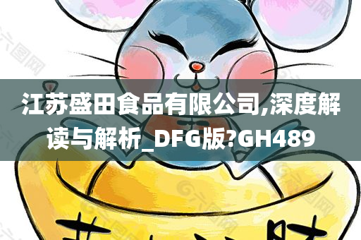 江苏盛田食品有限公司,深度解读与解析_DFG版?GH489