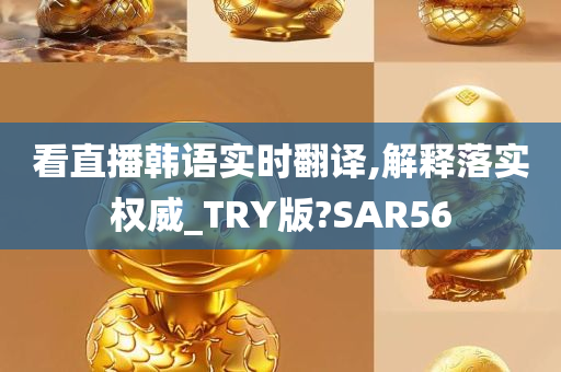 看直播韩语实时翻译,解释落实权威_TRY版?SAR56