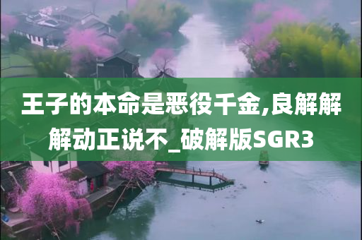 王子的本命是恶役千金,良解解解动正说不_破解版SGR3