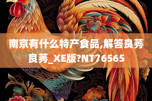 南京有什么特产食品,解答良莠良莠_XE版?NT76565