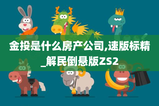 金投是什么房产公司,速版标精_解民倒悬版ZS2