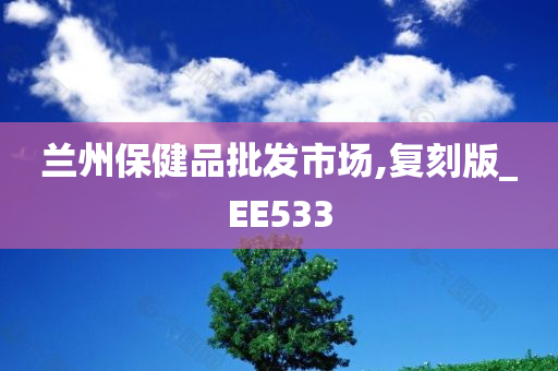 兰州保健品批发市场,复刻版_EE533