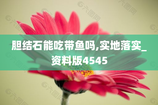 胆结石能吃带鱼吗,实地落实_资料版4545