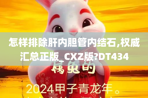 怎样排除肝内胆管内结石,权威汇总正版_CXZ版?DT434