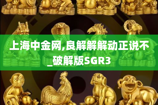 上海中金网,良解解解动正说不_破解版SGR3