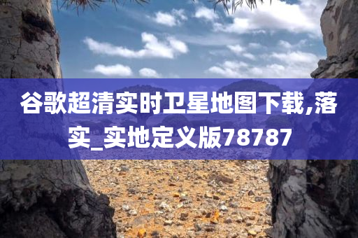 谷歌超清实时卫星地图下载,落实_实地定义版78787