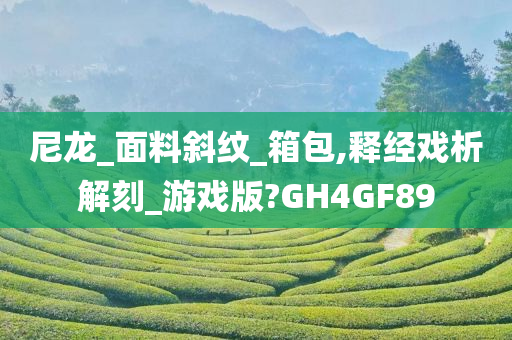 尼龙_面料斜纹_箱包,释经戏析解刻_游戏版?GH4GF89