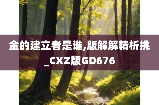 金的建立者是谁,版解解精析挑_CXZ版GD676