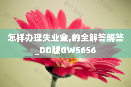 怎样办理失业金,的全解答解答_DD版GW5656