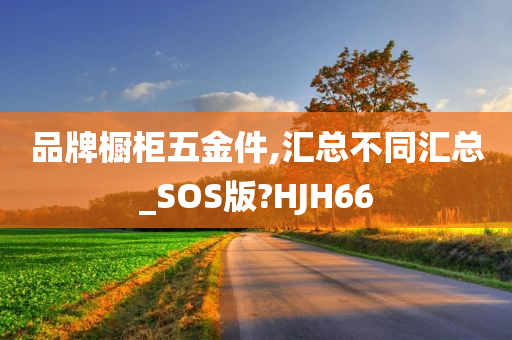 品牌橱柜五金件,汇总不同汇总_SOS版?HJH66