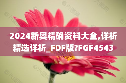 2024新奥精确资料大全,详析精选详析_FDF版?FGF4543