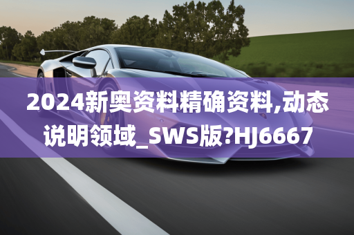 2024新奥资料精确资料,动态说明领域_SWS版?HJ6667