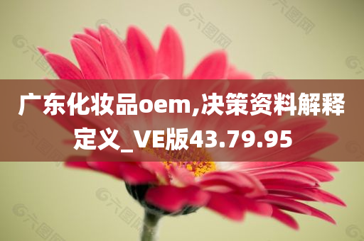 广东化妆品oem,决策资料解释定义_VE版43.79.95