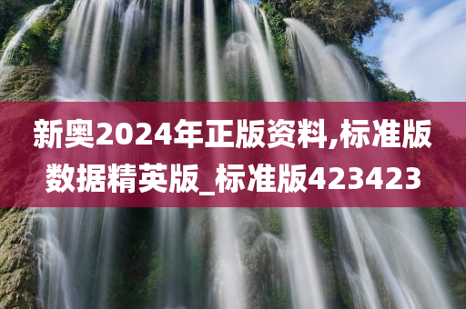 新奥2024年正版资料,标准版数据精英版_标准版423423