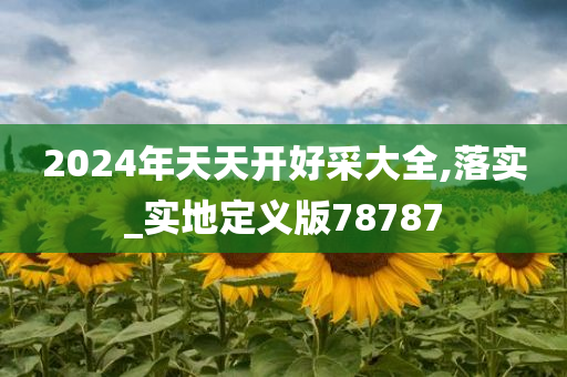 2024年天天开好采大全,落实_实地定义版78787