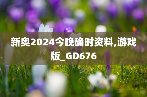 新奥2024今晚确时资料,游戏版_GD676