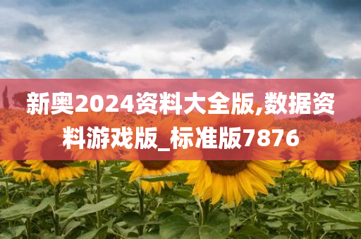 新奥2024资料大全版,数据资料游戏版_标准版7876