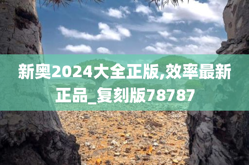 新奥2024大全正版,效率最新正品_复刻版78787