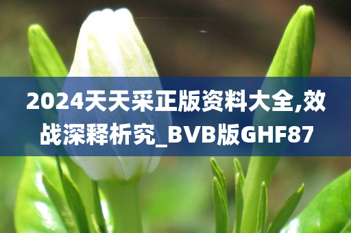 2024天天采正版资料大全,效战深释析究_BVB版GHF87